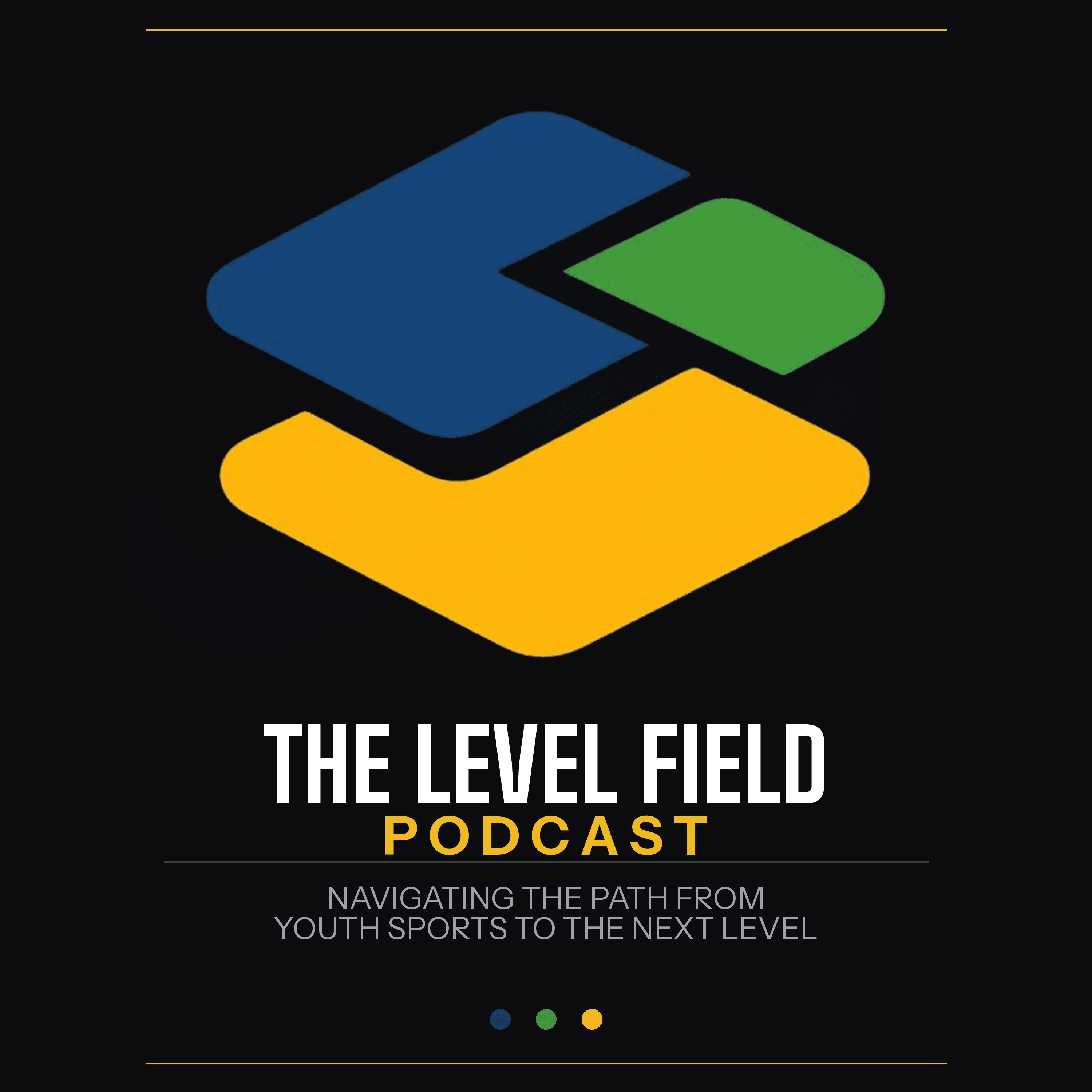 The Level Field Podcast cover art.